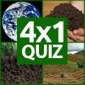4x1 Bilder Quiz