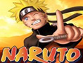 Naruto Survivor